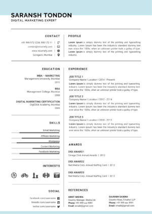 Minimal Resume Design 107