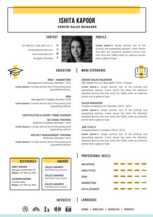 Elegant Resume Design 108