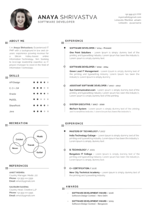 Minimal Resume Design 103